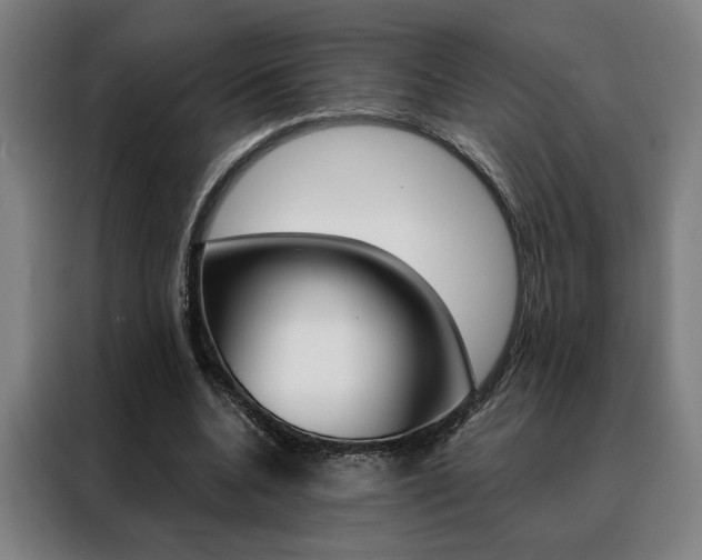 X0000088430536200705220856