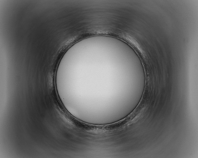 X0000088430537200705220856