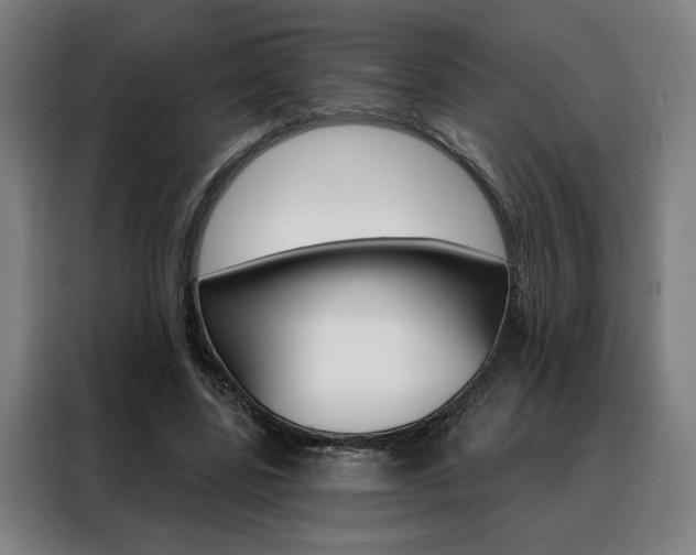 X0000088430539200705220856