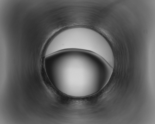 X0000088430540200705220856