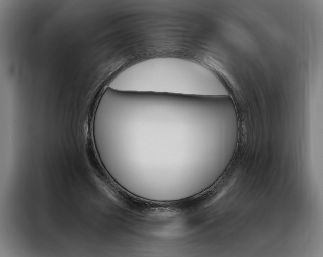 X0000088430541200705220856