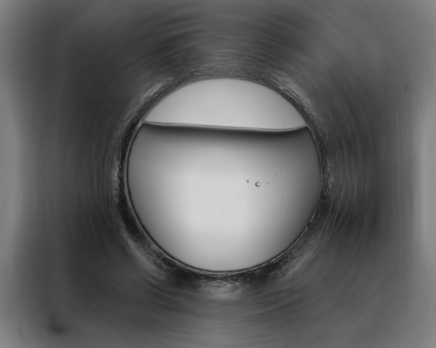 X0000088430542200705220856