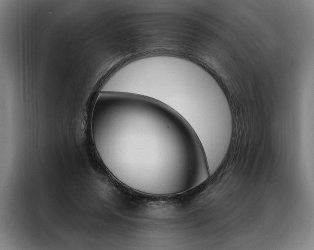 X0000088430544200705220856