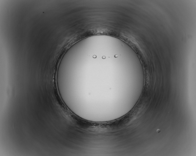 X0000088430545200705220856
