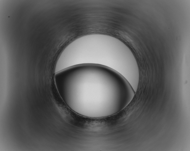 X0000088430546200705220856