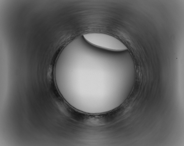 X0000088430550200705220856
