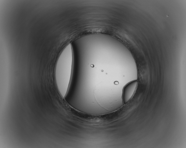 X0000088430551200705220856