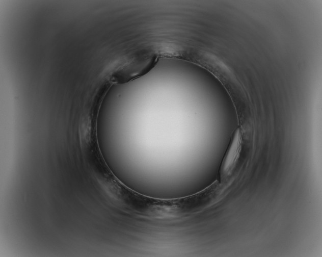 X0000088430552200705220856