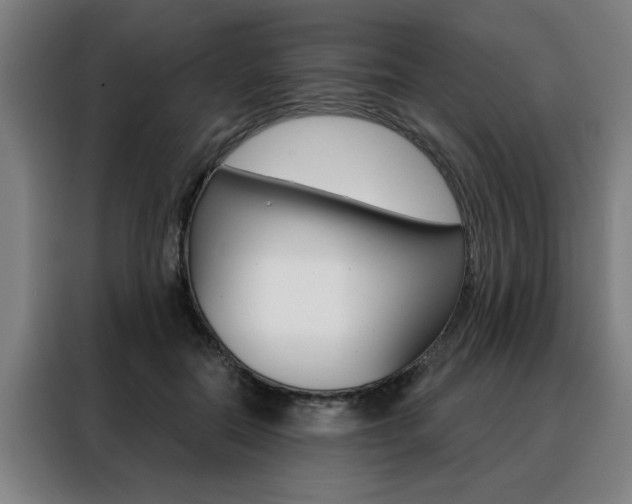 X0000088430554200705220856
