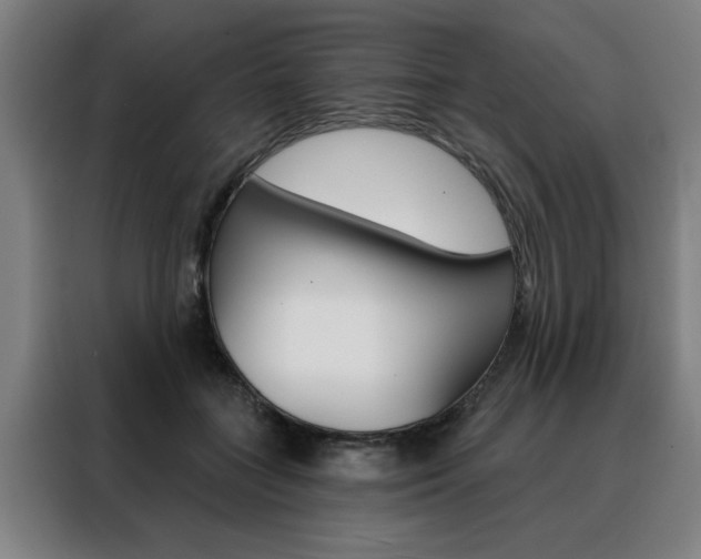 X0000088430555200705220856