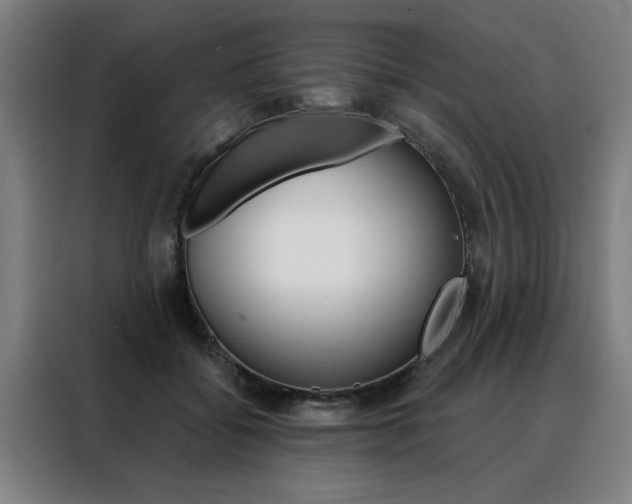 X0000088430556200705220856