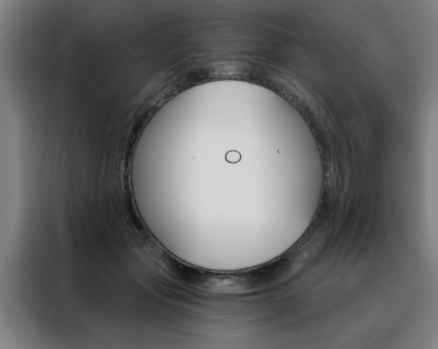 X0000088430557200705220856