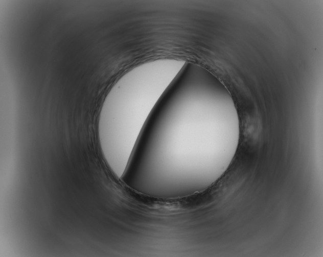 X0000088430559200705220856