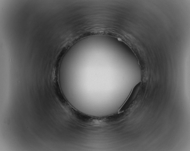 X0000088430560200705220856