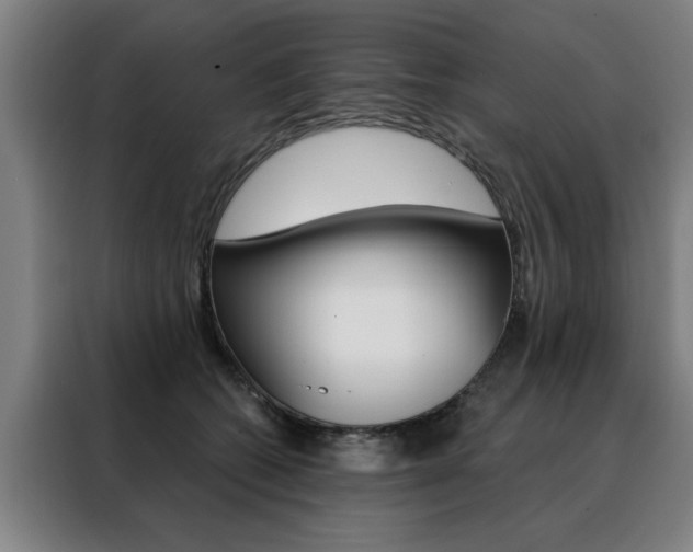 X0000088430562200705220856