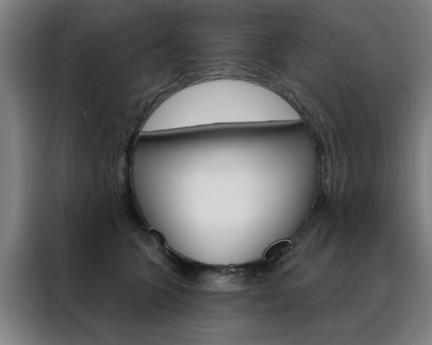 X0000088430563200705220856