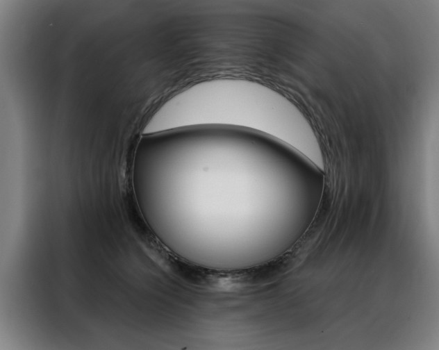 X0000088430564200705220856