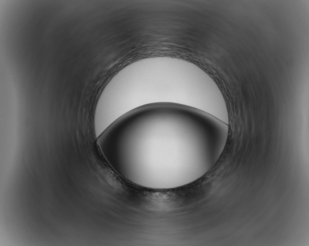 X0000088430566200705220856
