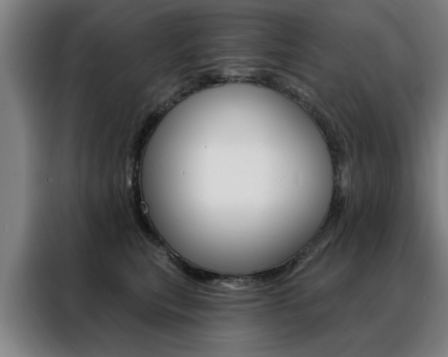 X0000088430567200705220856