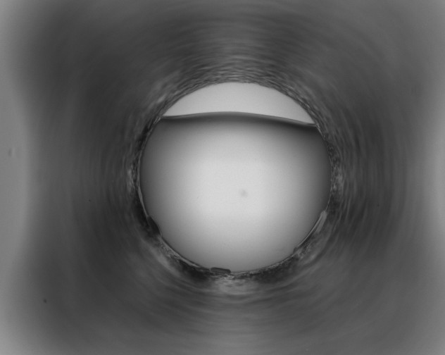 X0000088430568200705220857