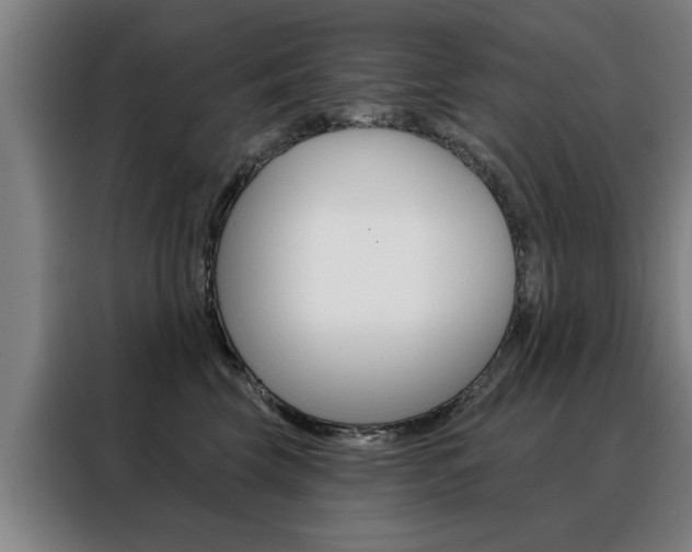 X0000088430569200705220857
