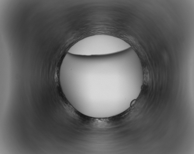 X0000088430573200705220857