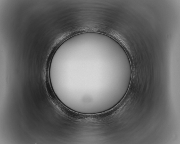 X0000088430578200705220856