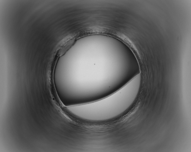 X0000088430581200705220856