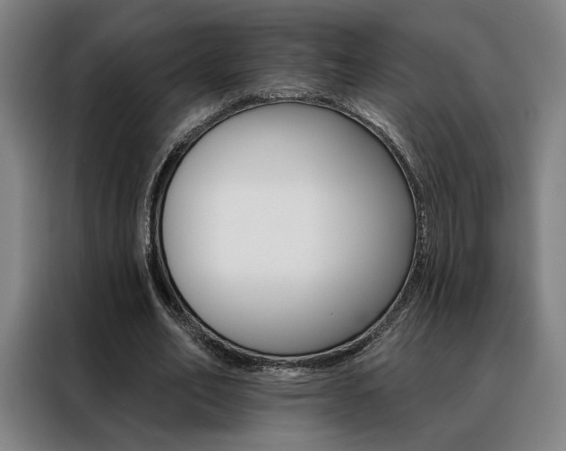 X0000088430582200705220856