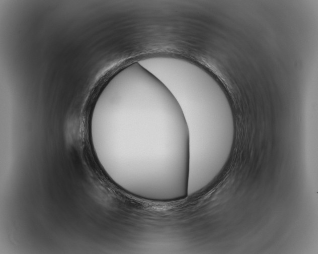 X0000088430583200705220856