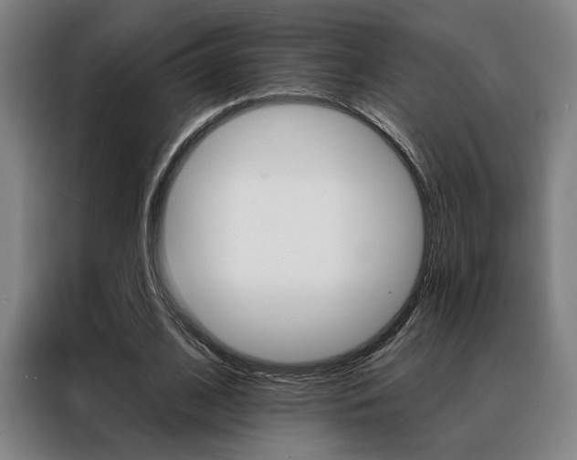 X0000088430584200705220856