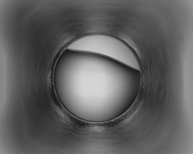 X0000088430585200705220856