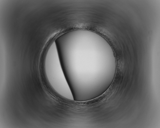 X0000088430587200705220856