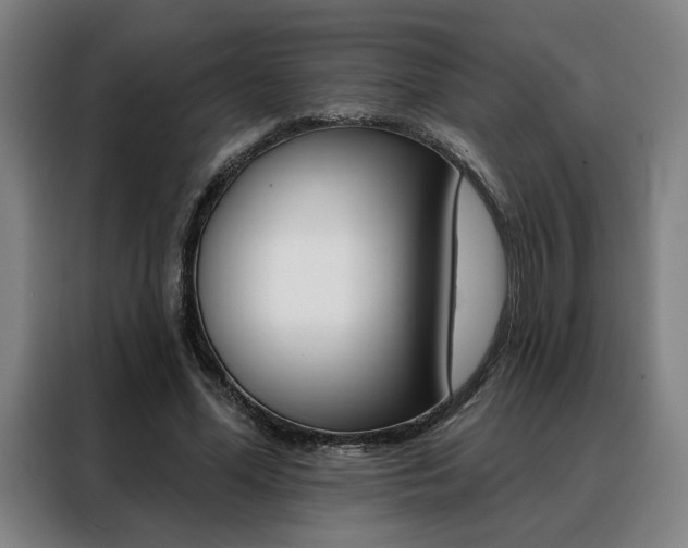 X0000088430588200705220856