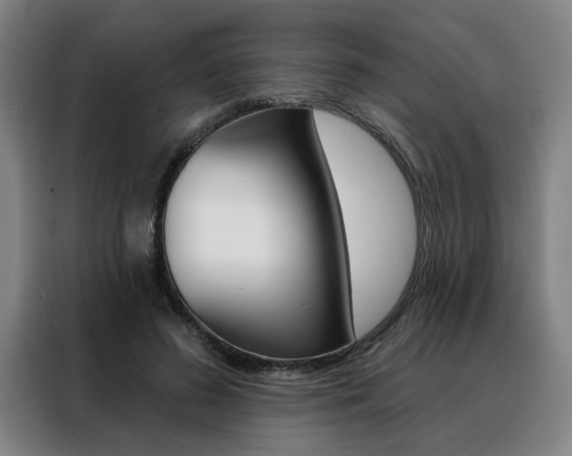 X0000088430596200705220856