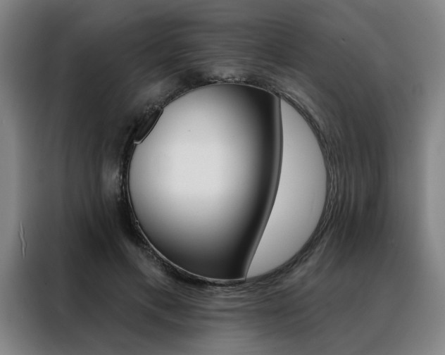 X0000088430597200705220856