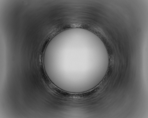 X0000088430598200705220856