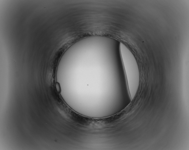 X0000088430599200705220856