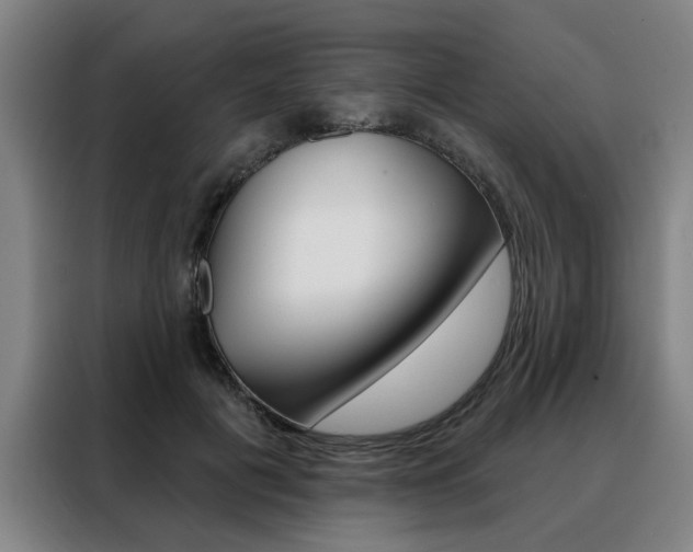 X0000088430601200705220856