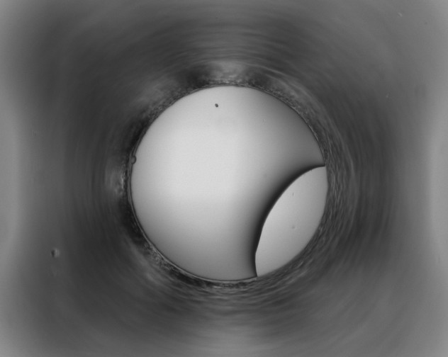 X0000088430602200705220856