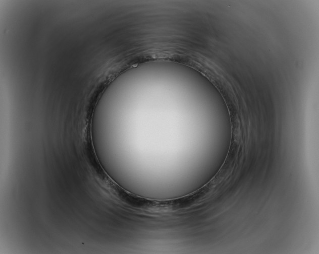 X0000088430604200705220856