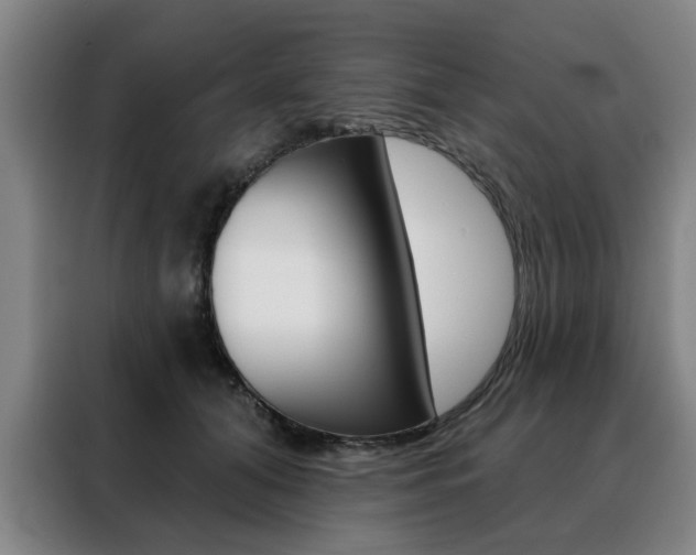 X0000088430608200705220856