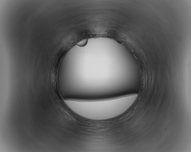 X0000088430609200705220856