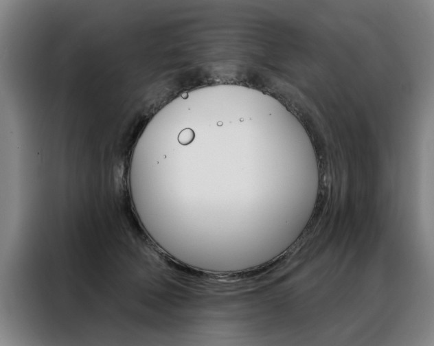 X0000088430610200705220856