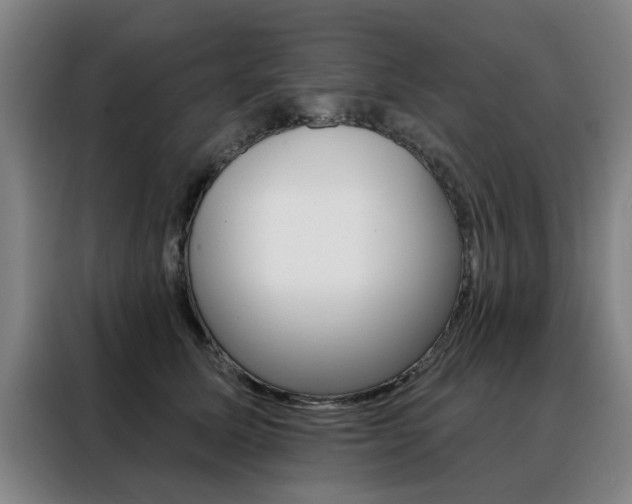 X0000088430611200705220856