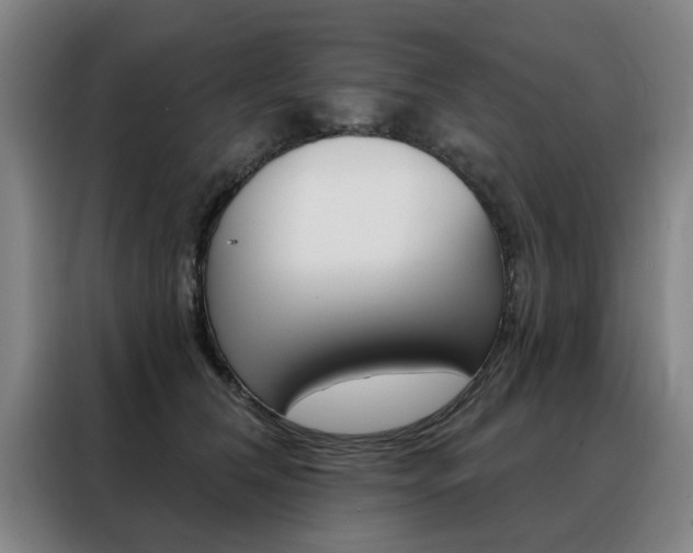 X0000088430612200705220856
