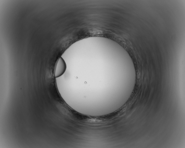 X0000088430614200705220856