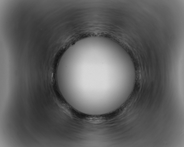 X0000088430615200705220855