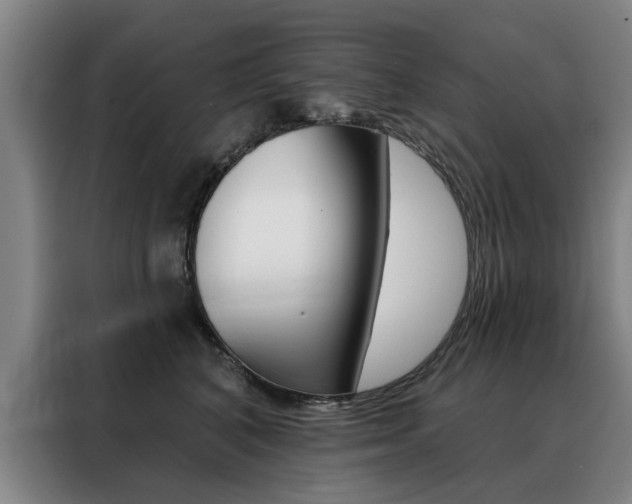 X0000088430616200705220855