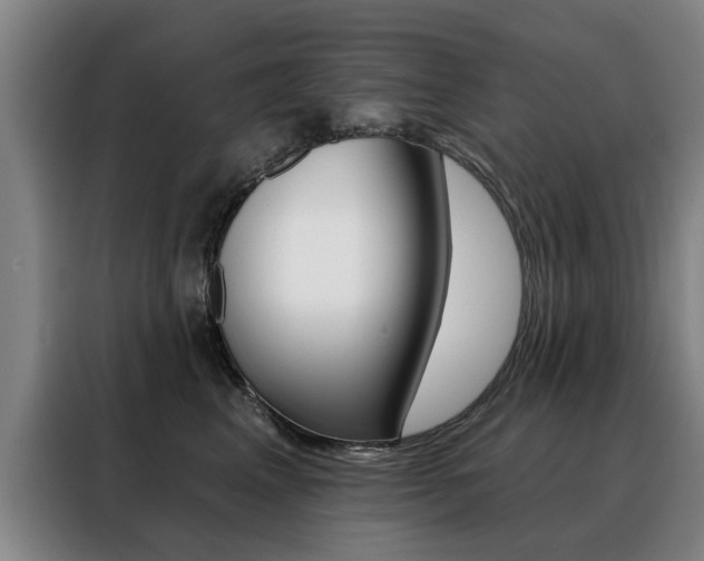 X0000088430617200705220855
